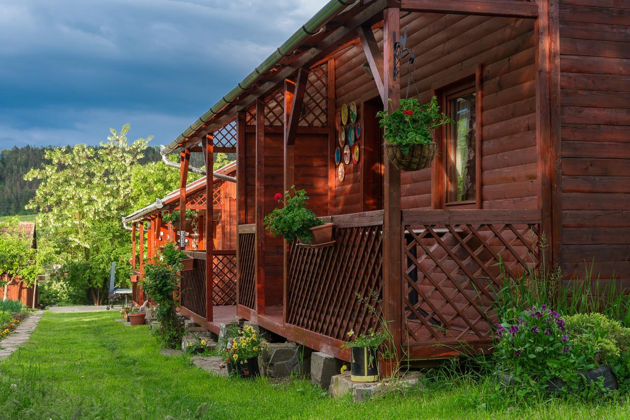 Pension Bassen Hotel Bazna Exterior photo