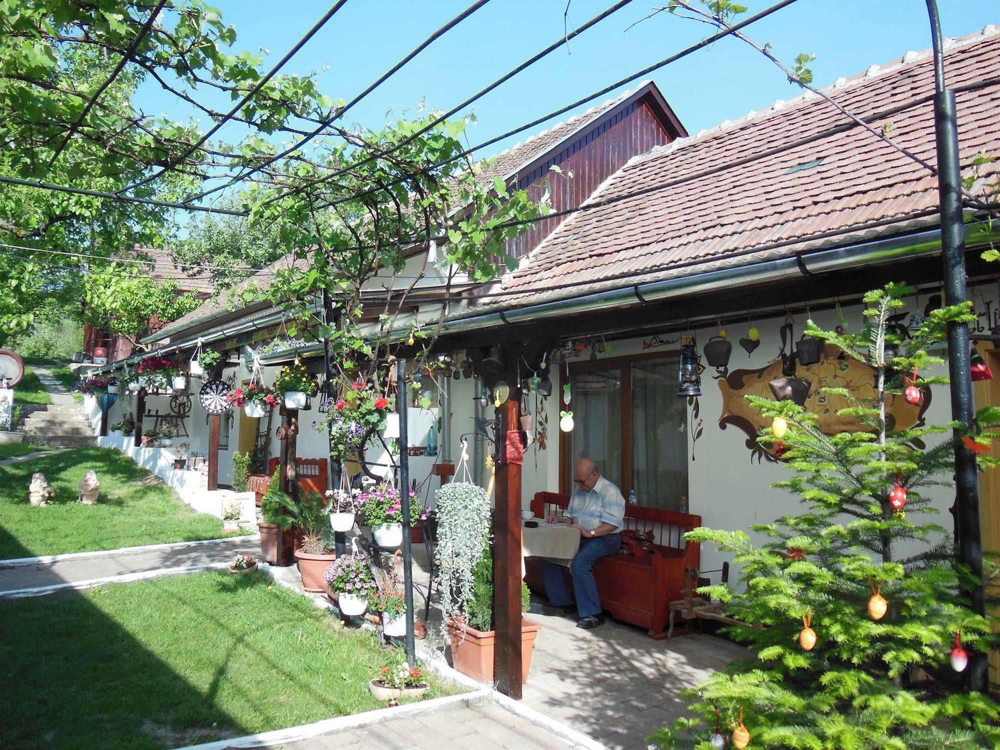 Pension Bassen Hotel Bazna Exterior photo